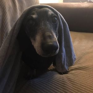 Meet your Posher, Bethany